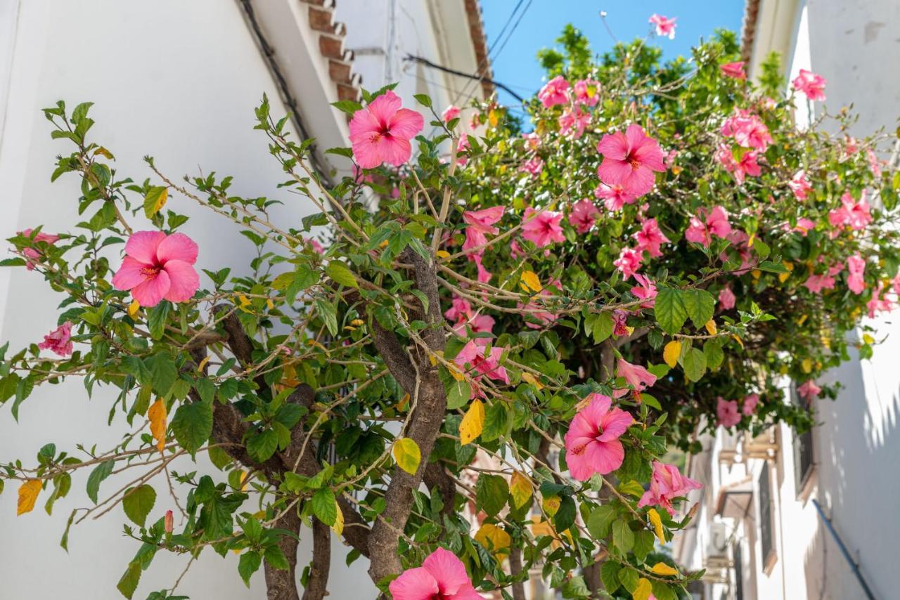 Lovely Cozy 2-Bedroom Residential Home With Patio Benalmadena Bagian luar foto